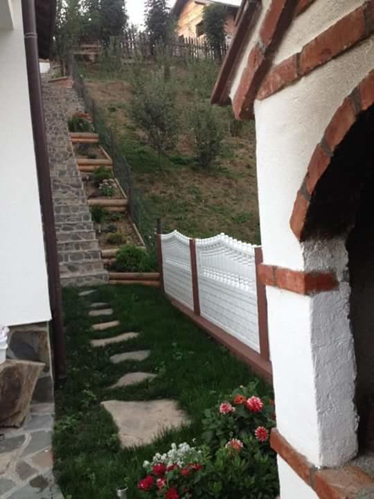 Pensiunea Rustic Борша Екстер'єр фото