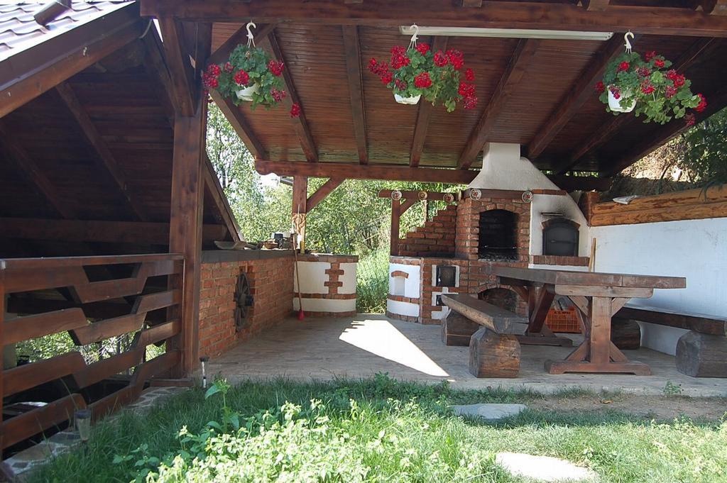 Pensiunea Rustic Борша Екстер'єр фото